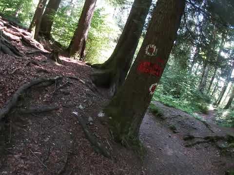 DIN TRASEUL JEPII MARI IN COBORARE PE TRASEUL CASCADEI URLATOAREA DIN BUSTENI