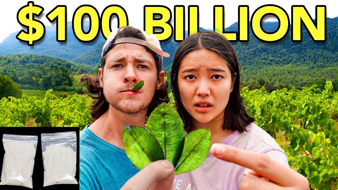 The Leaf that Turned into a Multi-Billion Dollar Drug (Coca)