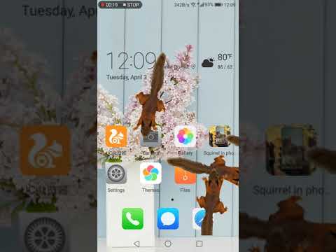 Squirrel in phone prank Video