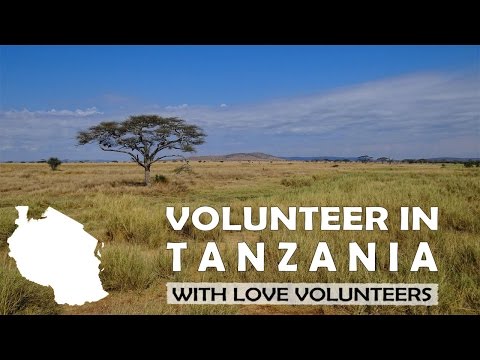 Volunteer in Tanzania with Love Volunteers!