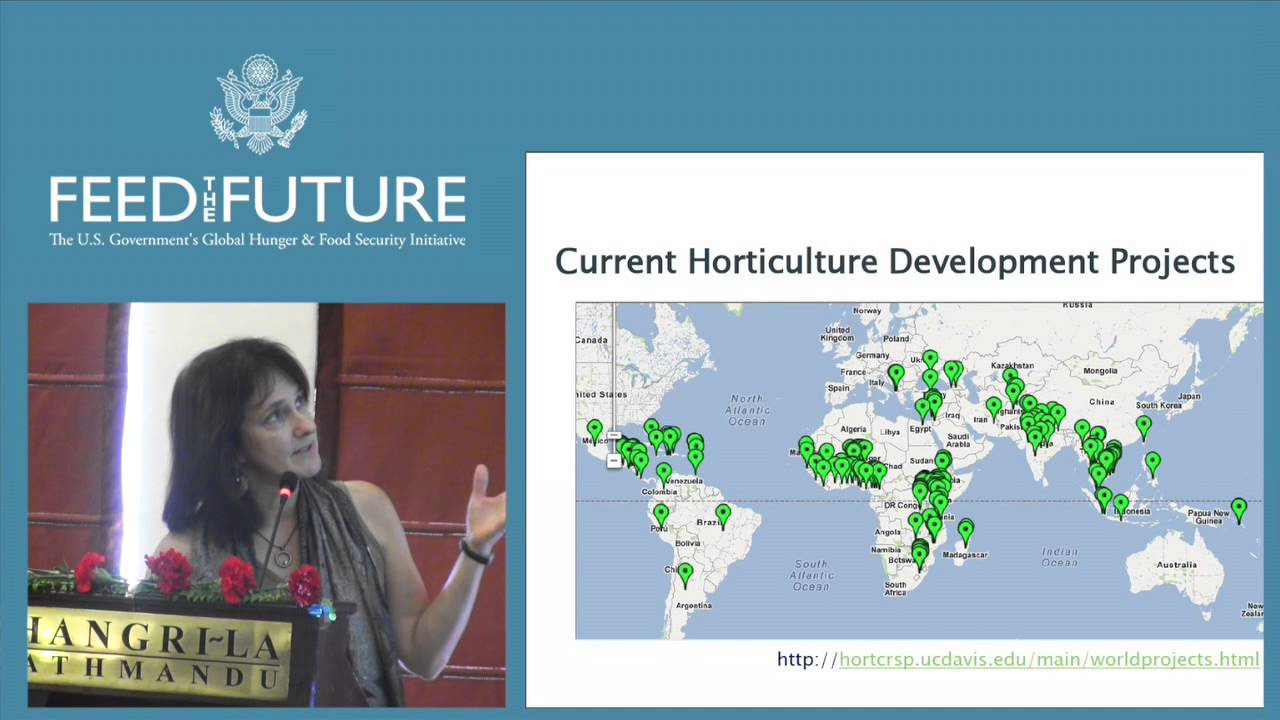 Presentation: Feed the Future Innovation Lab for Collaborative Research on Horticulture