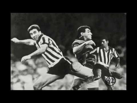 Estranha Maneira - Zé Arnaldo Guima