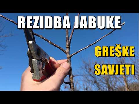 REZIDBA JABUKE - Greške i savjeti