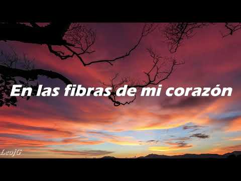 Julio Jaramillo   El Pintor (Letra)