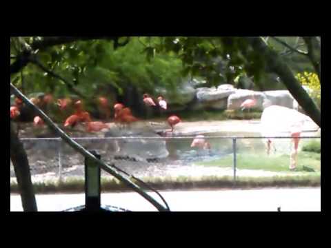 A wild cage of SCP-1507.