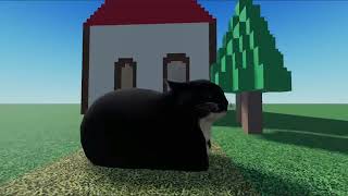 Cover art for maxwell the cat dancing