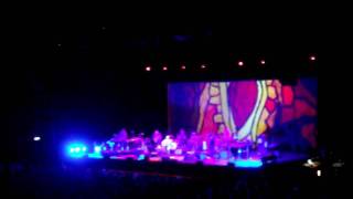 Hearts and Bones, Mystery Train, and Wheels, NIA, 2011