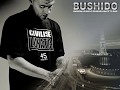 Bushido - ich lass dich gehn' [with lyrics] 