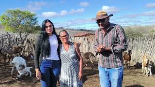 REPÓRTER MATUTO VISITA O CHIQUEIRO DOS BODES DE DONA LOURDES DO SERTÃO PERNAMBUCO.