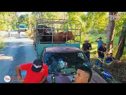 Fiesta de German y Gabriel Batista en Los Castillos de Río de Jesús 6 de diciembre de 2025