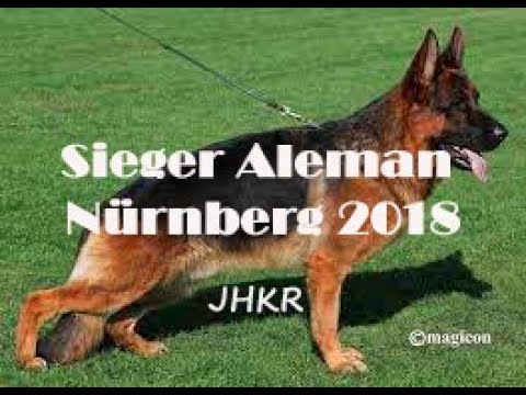 JUGENDKLASSE RÜDEN - JUNIORS MALES - MACHOS JOVENES DEL SIEGER ALEMAN NÜRNBERG 2018