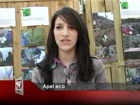 Apel eco