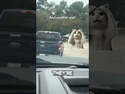 🚨 Idiot In Car Attempts The Easiest Turn And Fails Miserably!