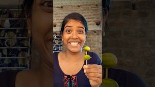 Download lagu ASMR AMERICA'SCANDY ORIGINALDUBBLE BUBBLE GUM (3 FRUIT FLAVOURS) AND...🍡🍢🤣🥰j4834 mp3