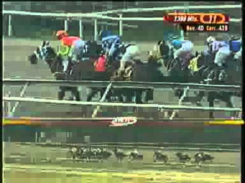 11 CARRERA DOMINGO 25 MAYO LA RINCONADA