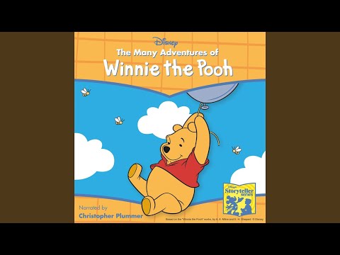 Winnie the Pooh slăbit. Personaje Winnie the Pooh