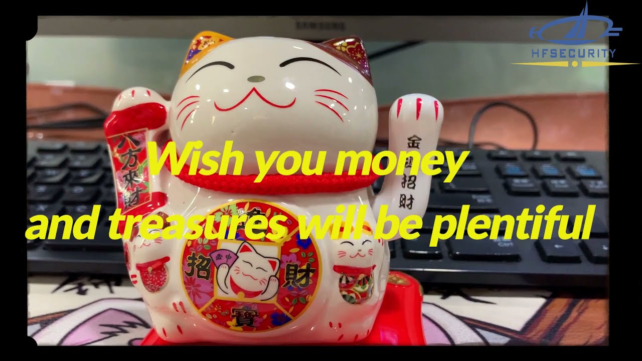 HFSecurity Biometric Solution Provider (HQ Introduction)