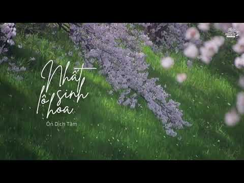 [1 hour • Vietsub] Nhất lộ sinh hoa (Một đường nở hoa • 一路生花) || Ôn Dịch Tâm
