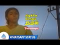 Poovarasampoo Video Song Whatsapp Status Kizhakke Pogum Rail Movie Songs Sudhakar Raadhika