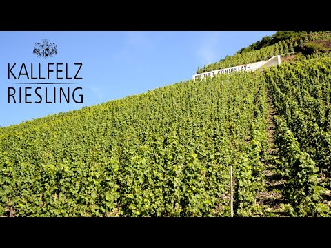 Weingut Albert Kallfelz