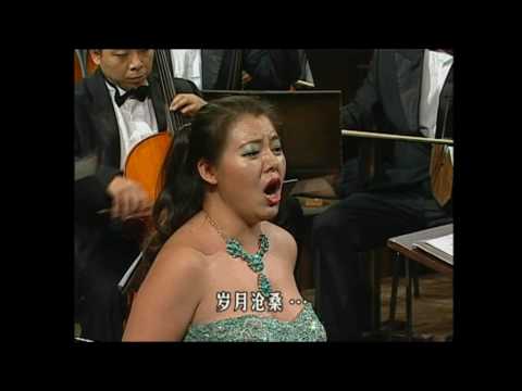 Hé Huì 和慧 - Reminiscence of the Northwest Stories 西北望