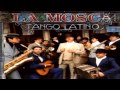 La Mosca Tsé Tsé | Muchachos, esta noche me ...