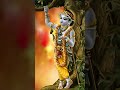 हमारे प्राण का रक्षक सुदर्शन चक्रधार�