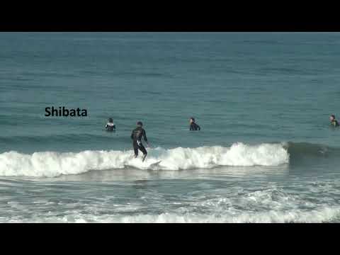 LOWER Middle Age Adult Team Iwai Beach 2018 0211