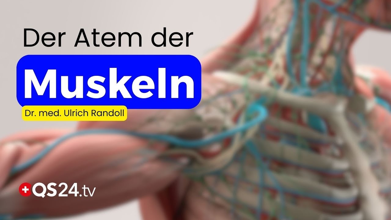 Muskelverspannungen lösen durch Zellrhythmus – Die Wirkung der Matrix-Rhythmus-Therapie | QS24
