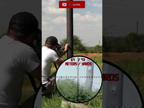 Daystate Huntsman Revere dove hunting | Air Gun Hunting
