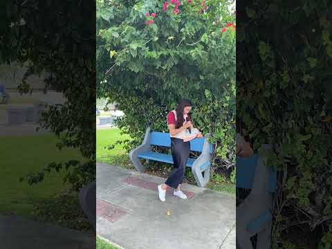15-05-2026 FEIRA NOVA SERGIPE COM MUITO AMOR GRAÇAS A DEUS 