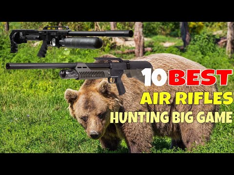 Top 10 Best Air Rifle for Hunting Big Game In 2024 [Big Bore Air Rifles]