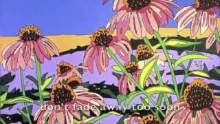 Caroline Doctorow Cactus Flower Official Lyric Video with Paintings by STANKO