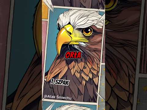 😏 Żart o Jasiu - znawcy ptaków 🐥 🎓 #śmiesznefilmy #dowcipdnia #humor #jasiu Dobry Kawał o Jasiu