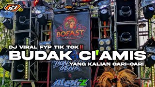 Download lagu DJ BUDAK CIAMIS TERBARU 2026‼️PARTY SLOW TAHUN BARU 2026 mp3