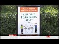 Visitors Urged To Stay 3 Flamingos Apart As LA Zoo Reopens USA BBC News 20th February 2021
