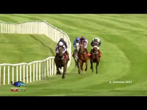 2014 Irish Derby