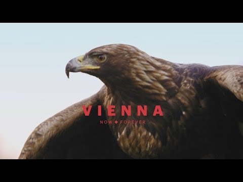 Vienna from an eagle's eye view (long)