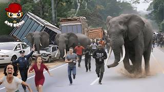 99 Most BRUTAL ANIMAL ATTACKS Caught on Camera! #4