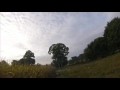 Munster De La Vallée De La Vaunoise Arrêt Sur Perdrix 09 Oct 2016