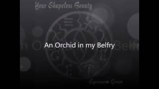 Your Shapeless Beauty - An Orchid in my Belfry Enhanced - 2016