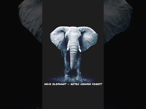 Indie Elephant - Retro heaven forest
