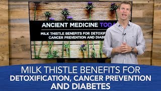 Milk Thistle Benefits for Detoxification, Cancer Prevention and Diabetes