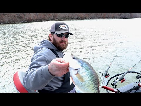 image-What is the best bait for crappie?
