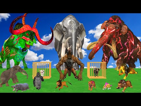 20 Giant Mammoth Elephant Cow vs 10 Giant Lion Dinosaur vs Gorilla Buffalo Saved By Woolly Mammoth