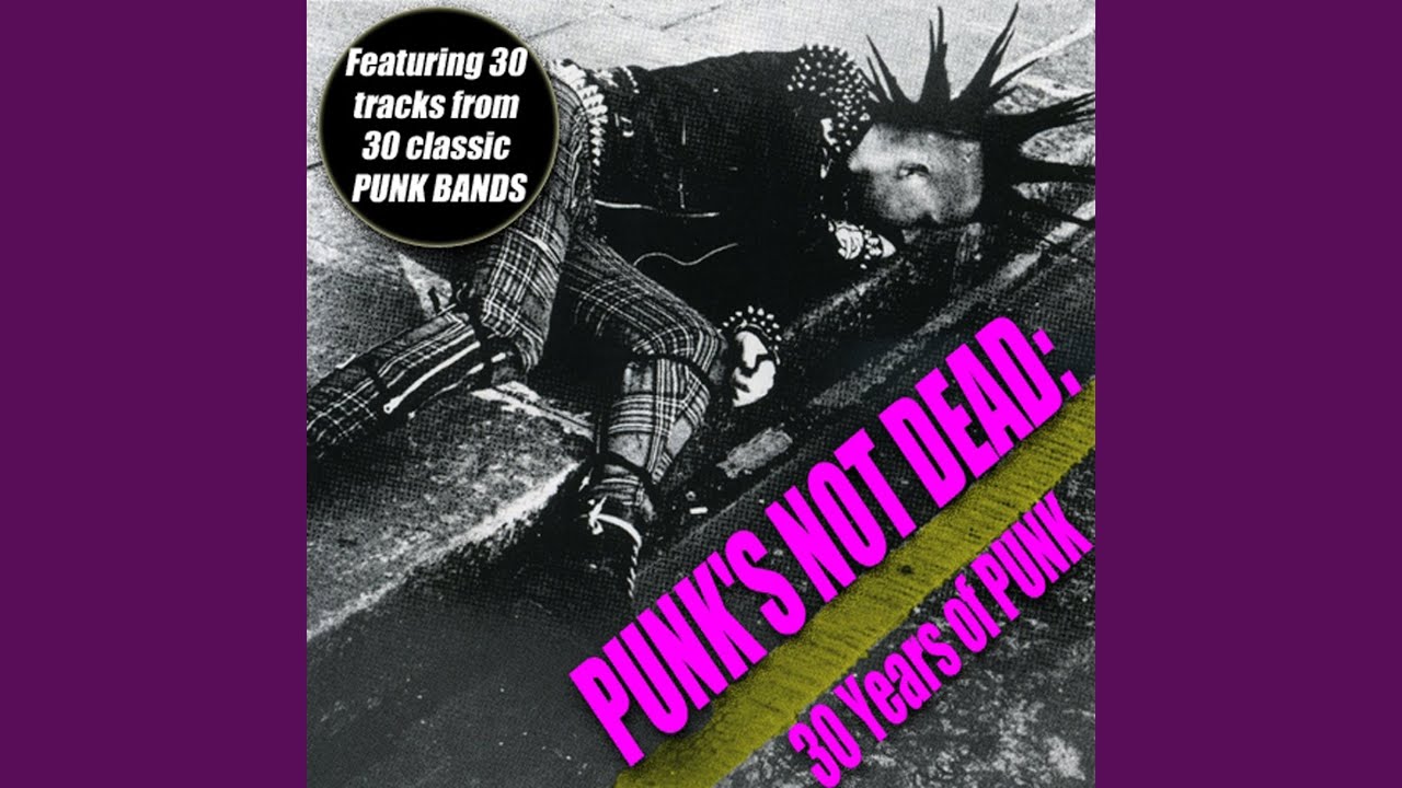 Punks Not Dead (Live)