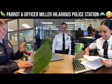 🦜😂 Parrot & Officer Miller: Hilarious Police Station Adventures 🚓📋 | Funny 4K Comedy Video