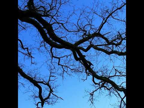 ekkstacy x suisside x pasteldrip - let's see what tomorrow brings