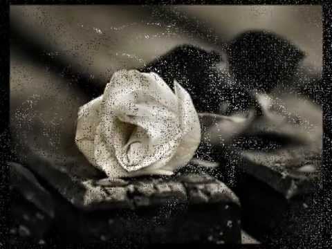 istanbuL AğLıyor / JeLiBoM.com