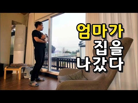 엄마 없는 초보 집사, 초보 집고양이 생존기